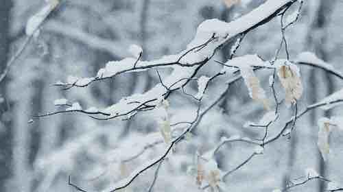 太原初雪，历史最早初雪的欣赏与体验指南