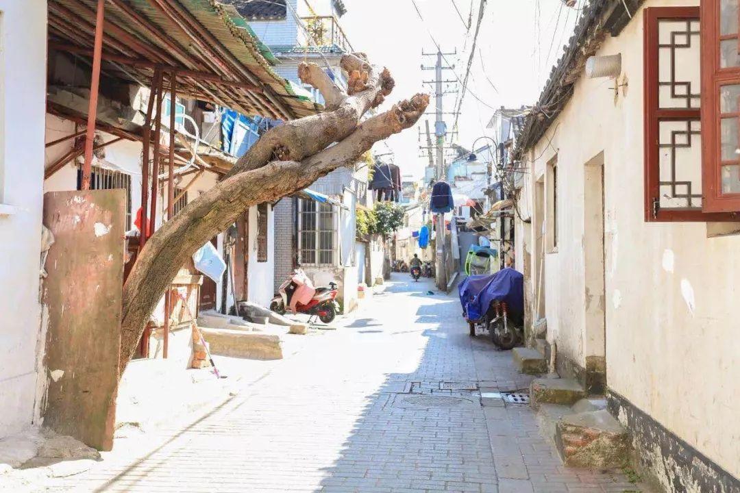 中国征收海外富人税解读，媒体探寻特色小店的影响与意义