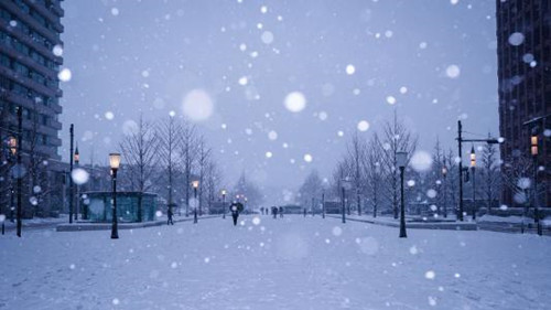 北方雪与广东空调之间的独特风情小店