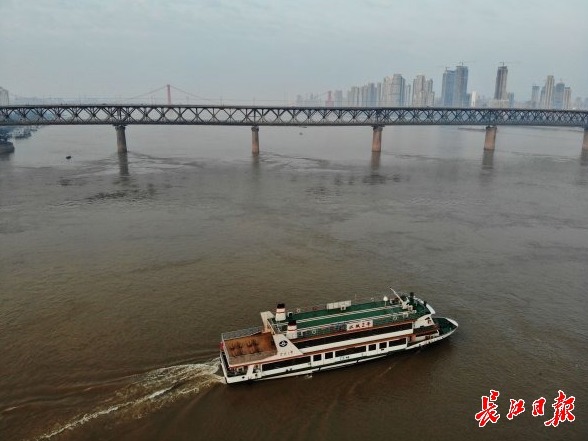 美国轮渡码头事故致多人伤亡，事故引发关注与小巷独特小店探寻
