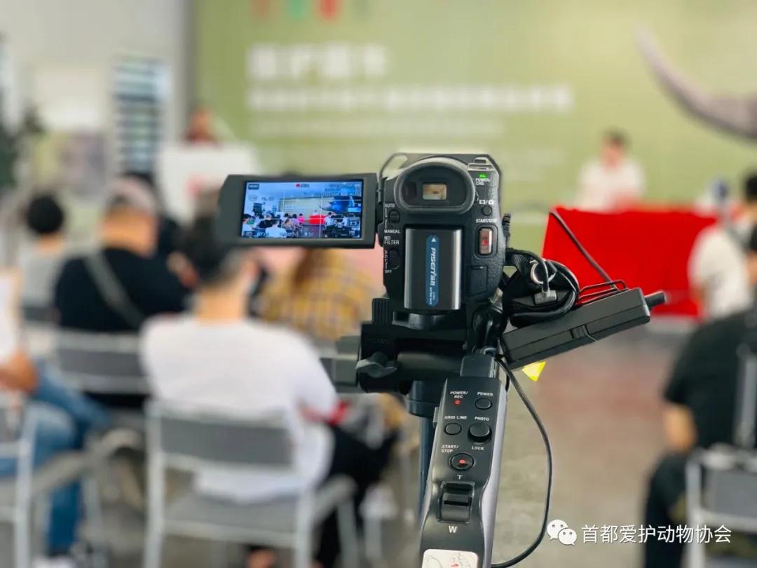 大连发现完整犀牛头骨化石，揭开史前巨兽神秘面纱
