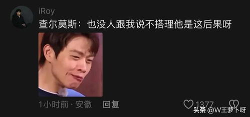 潘展乐视角下的日常不完美，生活的真实写照