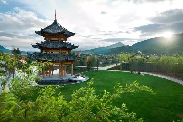 桂花经济崛起，寻找内心平静的桂花之旅，助力消费升温