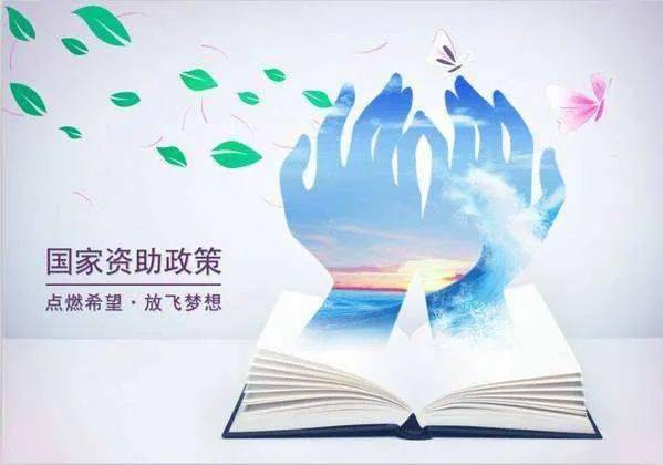内地女子假学历报读港大获刑，逆风翱翔的挫折与励志故事
