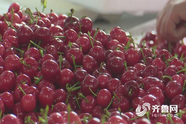 足金饰品价格刷新纪录，每克突破800元！