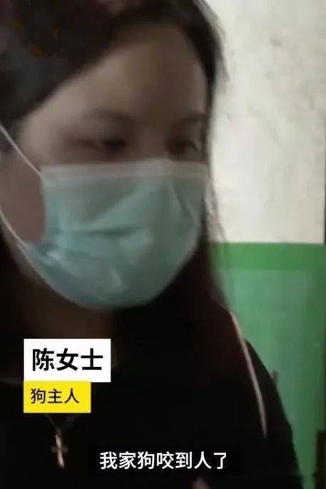 赔偿与应对步骤解析