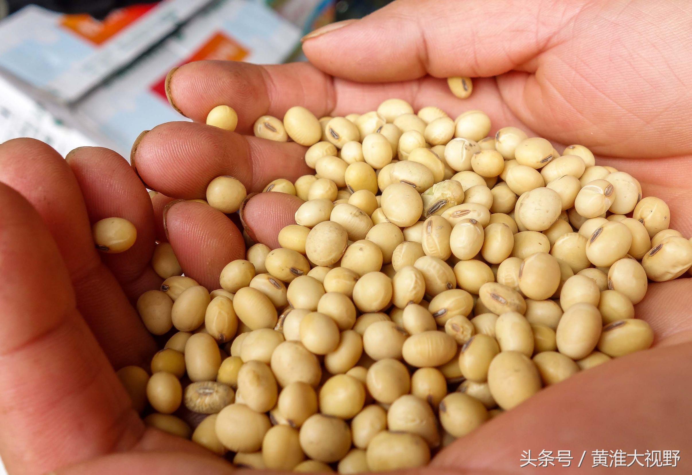 淮北高铁最新动态，小巷独特小店与高铁发展同步更新