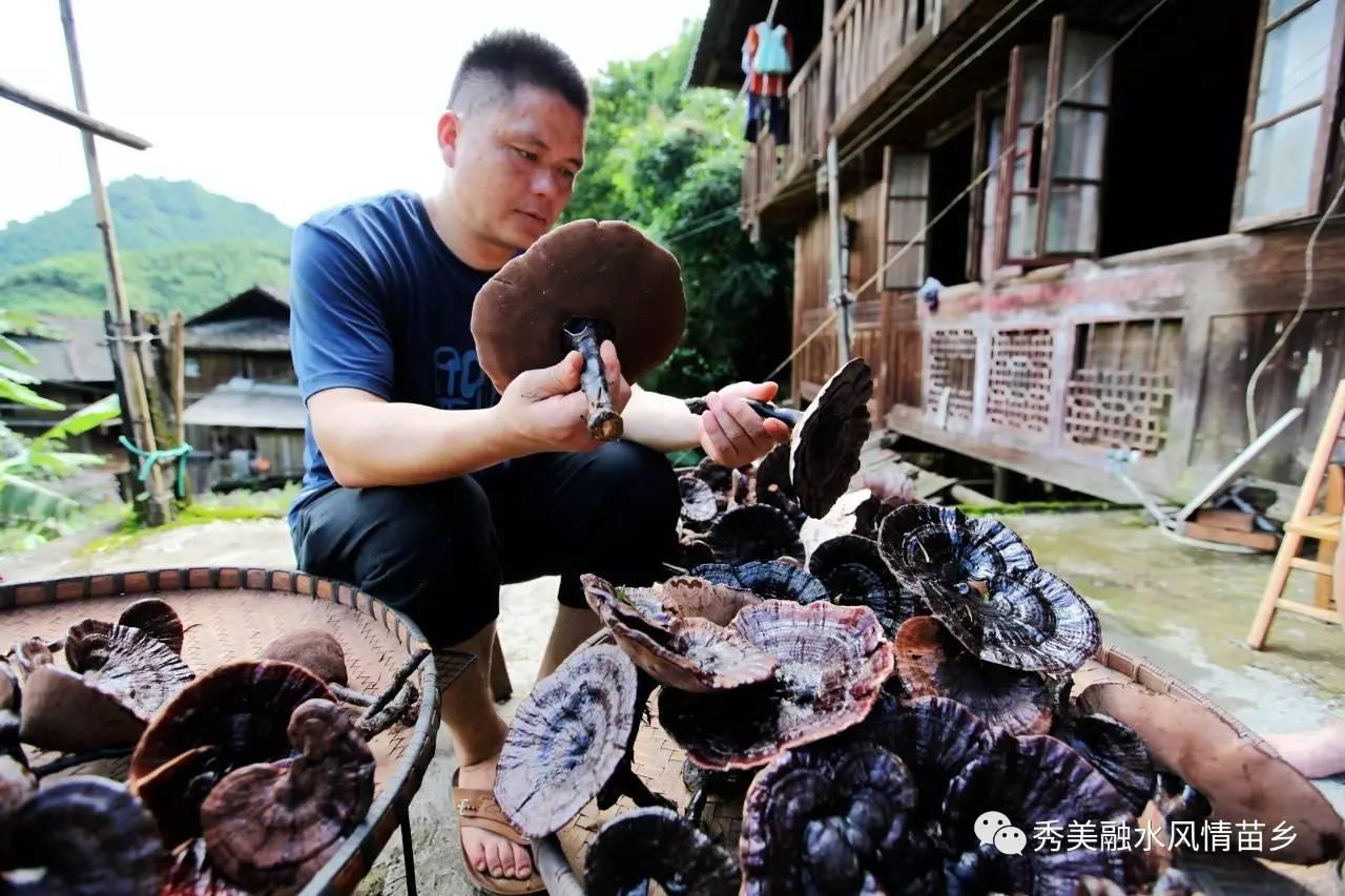 我国最新坦克，科技巅峰，未来先锋的战力展现