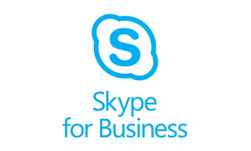 Skype最新版本功能解析与特点概览
