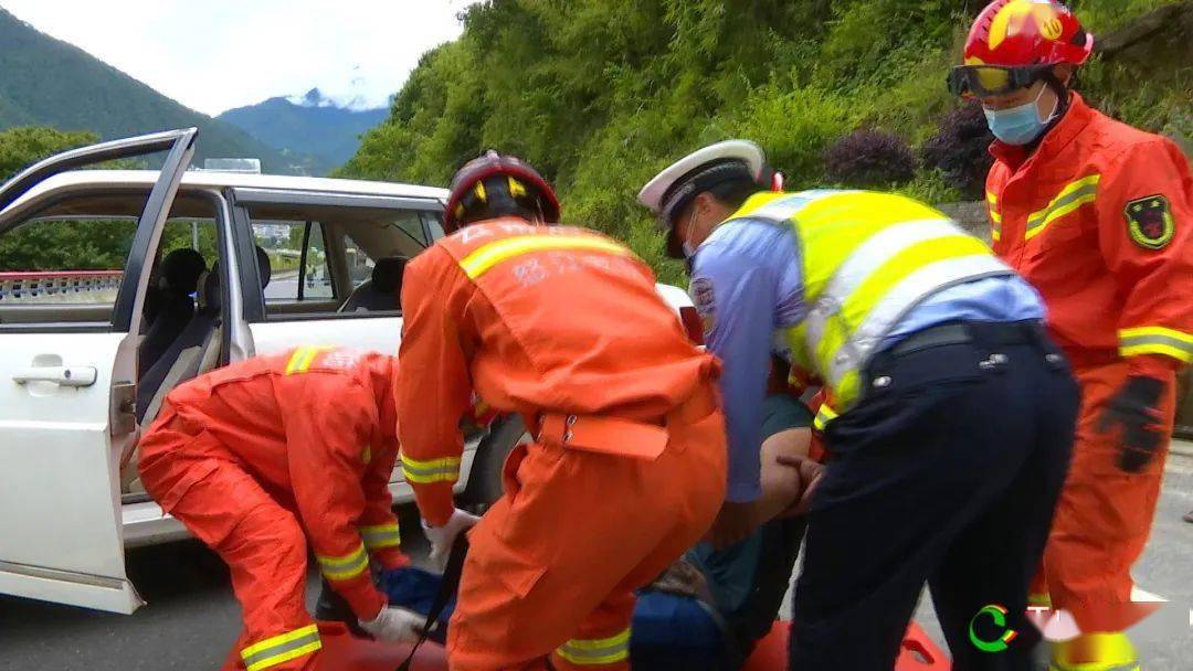 砍人事件背后的心灵与自然的探索之旅