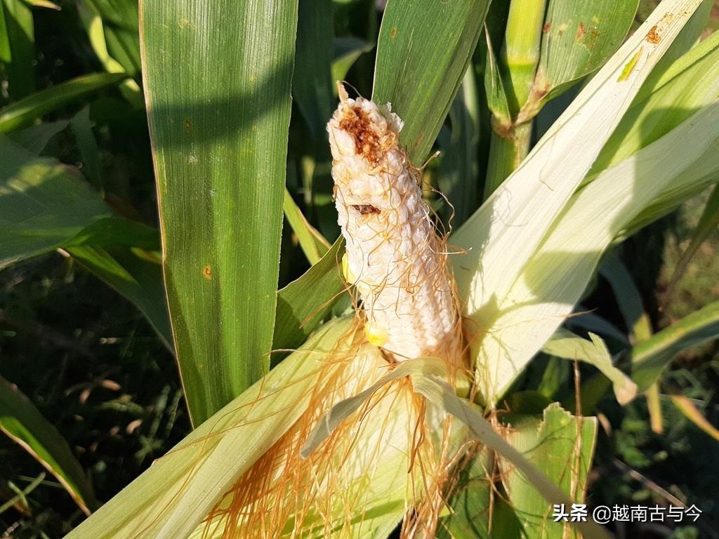 科技力量