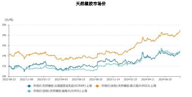 小巷风情与独特小店探秘