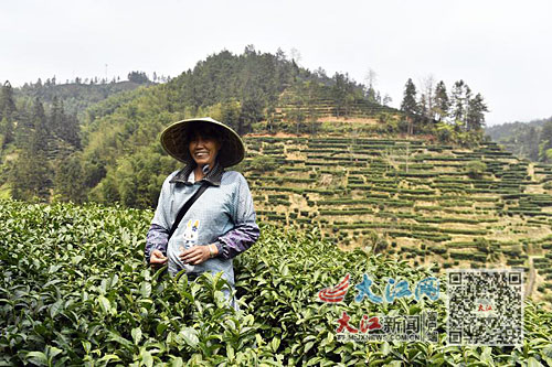 阳春本地最新新闻，小巷深处的独特风味