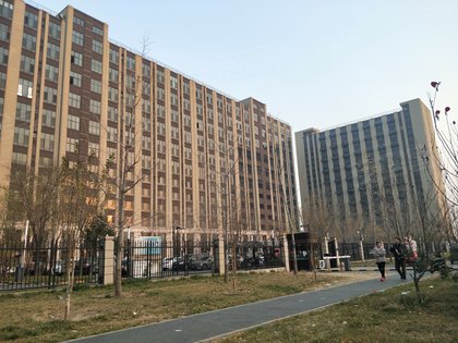 保利春天派最新价格深度分析与观点阐述