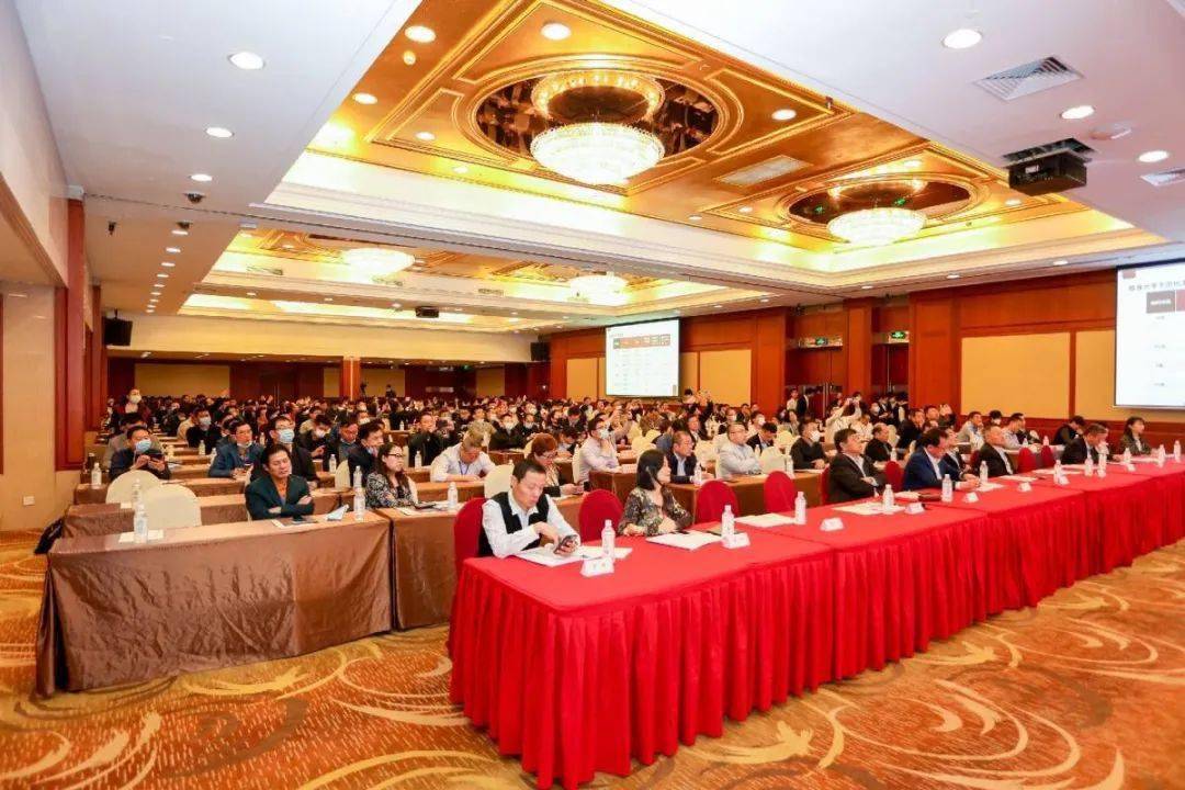 揭秘行业前沿动态与未来蓝图，600685最新消息速递