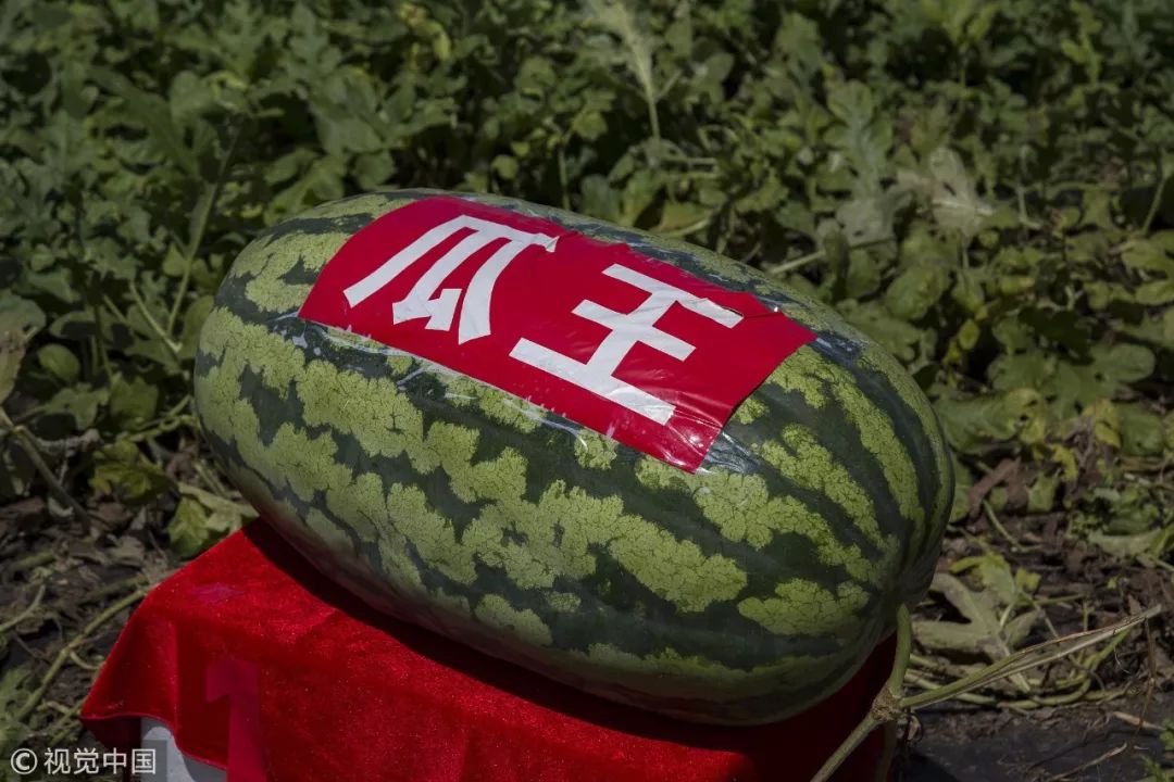 友情与家庭