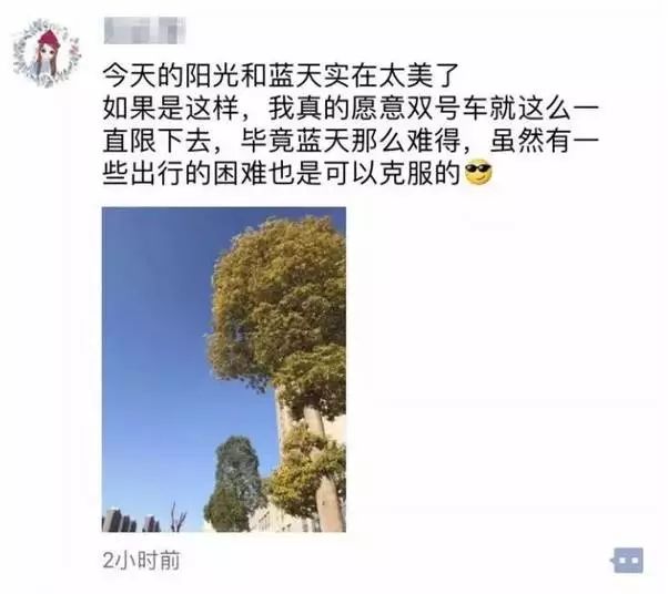 最新限行通知，驶向自然美景，探寻内心宁静与平和之旅