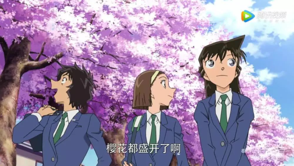 探索揭秘