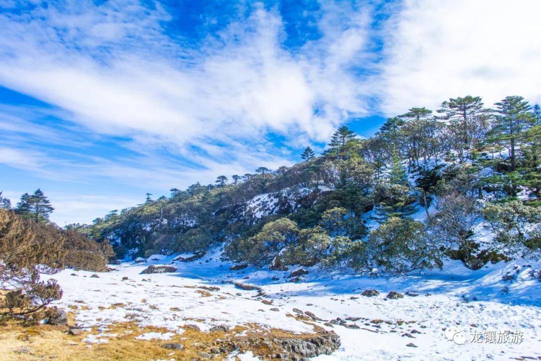 最新资讯聚合，心灵之旅，探索自然美景，寻找内心平静