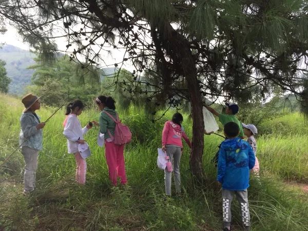 柏乡吧最新动态，自然美景探索之旅，寻找内心平和的旅程