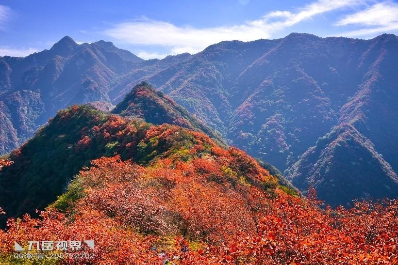 常岳九铁路最新动态更新，最新消息汇总