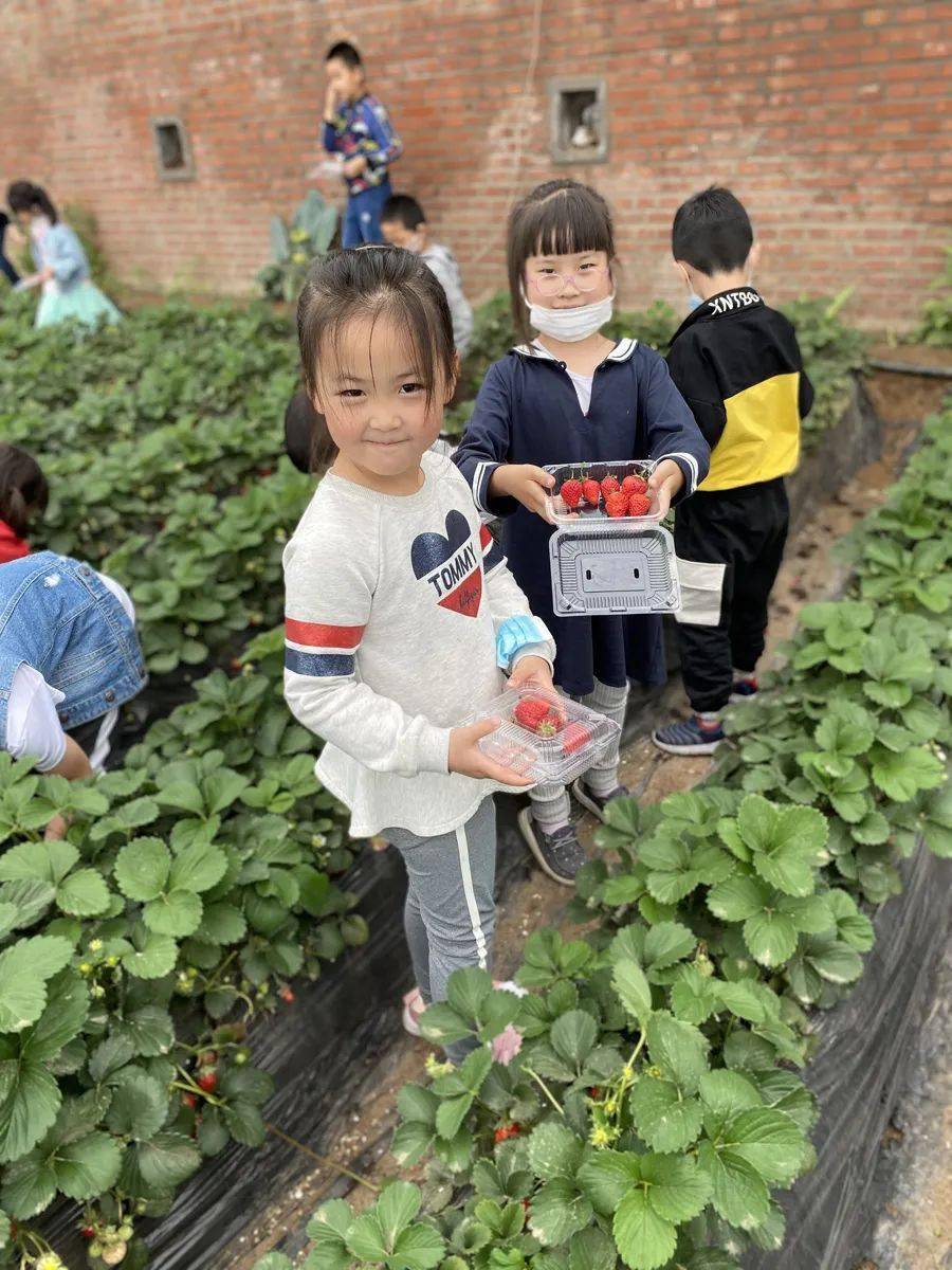 巡场招聘最新动态，自然美景探索之旅启动，内心宁静求职之旅启程