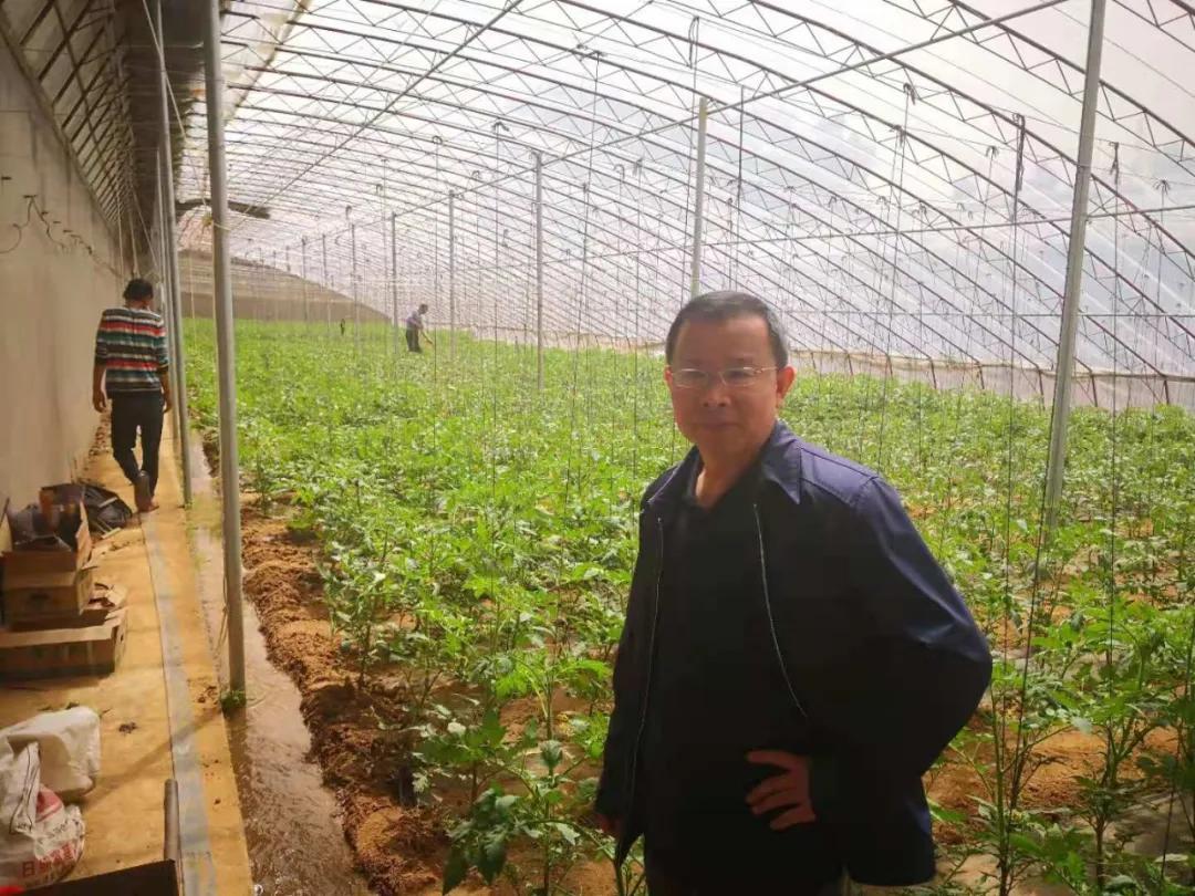 沂水地震最新消息，科技守护智能预警引领未来